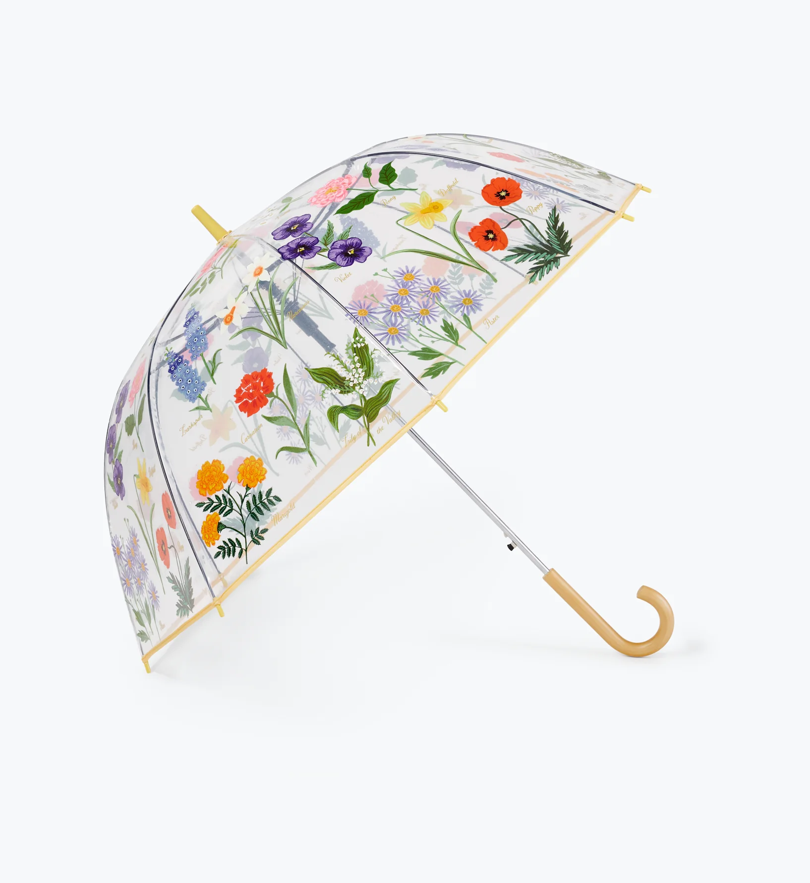 Umbrella - Garden Study - Image 6